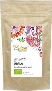AMLA FRUIT EN POUDRE BIO 100 g - BATOM