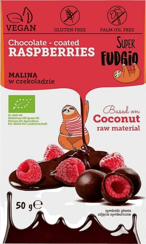 Framboos gevriesdroogd in chocolade BIO 50 g Super Fudgio