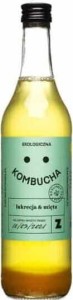KOMBUCHA MET LIQUIDATIE EN MUNT BIO 500 ml - LEANING