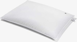 SLAAPKUSSEN MET BOEKWETTIL VOOR KINDEREN 5 - 10 JAAR (45 x 60 cm) - PLANTULE KUSSENS