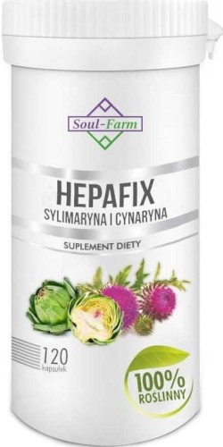 HEPAFIX SILIMARINE AND CINNARINE 560 mg 120 CAPSULES - SOUL FARM