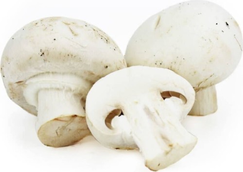 OPAKOWANIE ZBIORCZE (kg) - PIECZARKI BIAŁE ŚWIEŻE BIO (POLSKA) (około 3 kg)