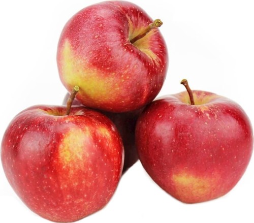 BIO VERSE APPEL (GALA-POLSKA) (ongeveer 1,00 kg)