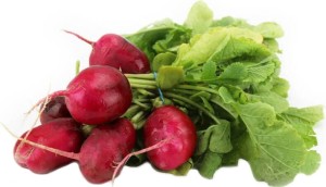 FRESH BIO RADIANS (about 0.30 kg)