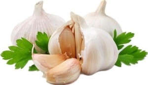 Großpackung (kg) - frischer Knoblauch BIO (polnisch) (ca. 5 kg)