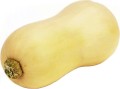 OPAKOWANIE ZBIORCZE (kg) - DYNIA PIŻMOWA (BUTTERNUT) ŚWIEŻA BIO (około 10 kg)