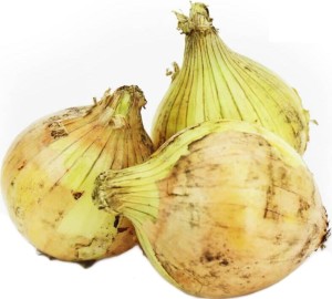 YELLOW ONION BIO (POLAND) (about 1.00 kg)