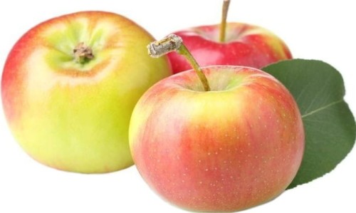 MULTIPACK (kg) - BIO FRESH APPLES (BATOR-POLAND) (approx. 12 kg)