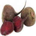 Frische Rote Bete BIO (polnisch) (ca. 1 kg)