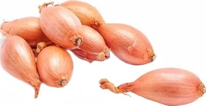 Frische Schalotten Zwiebeln BIO (polnisch) (ca. 250g)