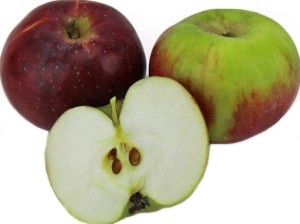 MULTIVERPAKKING (kg) - BIO VERSE APPEL (ALWA - POLEN) (ca. 13 kg)