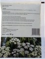 Ground elder leaf 50g Flos