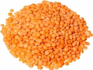 VERRES ROUGES BIO (MATIÈRE PREMIÈRE) (25 kg) 2