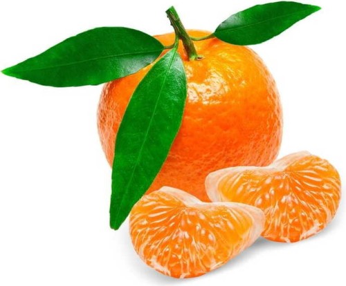 VERSE BIO CLEMENTINES (ongeveer 1,00 kg)