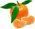VERSE BIO CLEMENTINES (ca. 0,50 kg)