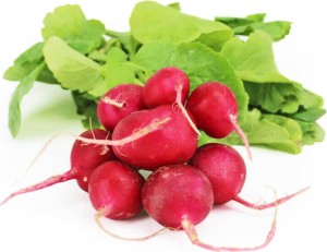 RADISHES FRESH BIO (POLAND) (about 0.20 kg)