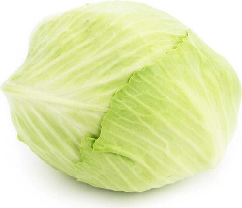 YOUNG WHITE CABBAGE, FRESH BIO (POLAND) (about 1.50 kg)