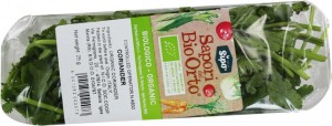 KOLENDRA ŚWIEŻA BIO (około 40 g)