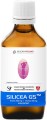 Organic silicon and choline 990m Si 2500mg Silicea G5 concentrate 50ml Glycan Group
