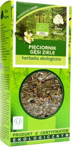 HERBATKA ZIELE PIĘCIORNIKA GĘSIEGO BIO 50 g - DARY NATURY