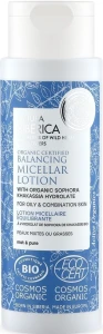 Eau micellaire pour peaux grasses et mixtes Eco 150 ml - Natura Siberica