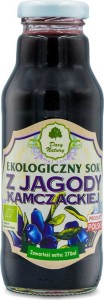 SOK Z JAGODY KAMCZACKIEJ BIO 270 ml - DARY NATURY