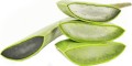 MULTIPACK (kg) - FRESH BIO ALOE  (about 4 kg)
