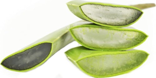 MULTIPACK (kg) - FRESH BIO ALOE  (about 4 kg)