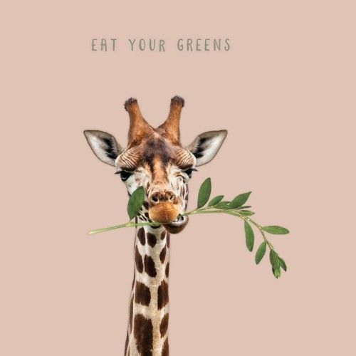 SERVETTEN EAT YOUR GREENS 20 st - CHIC-MIC