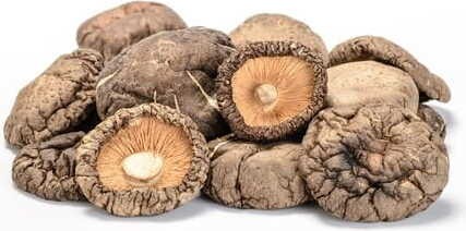 Shiitake (getrocknete Pilze) BIO (Rohware) (10 kg) 4