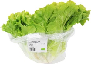 Endivie (Chicorée) frisch BIO (ca. 0,40 kg)