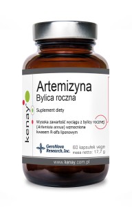 Artemisinin Jaarlijkse bijvoet (60 vege capsules) - Kenay