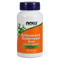 Echinacea und Gelbwurzelwurzel Echinacea und Gelbwurzel 100 Kapseln NOW FOODS