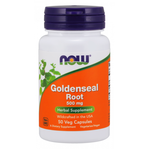 Gelbwurzelwurzel Kanadische Gelbwurzel 500 MG 50 Kapseln NOW FOODS