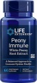 Peony Immune  Ekstrakt z Białej Piwonii 60 kapsułek