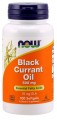Black Currant Oil  Olej z Czarnej Porzeczki 500 mg 100 kapsułek NOW FOODS