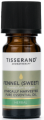 Fenchel süß ethisch geerntetes Fenchelöl 30 ml TISSERAND