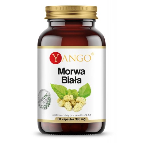 Morwa Biała 60 kapsułek Yango