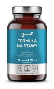 Formuła Na Stawy 50 kapsułek Panaseus