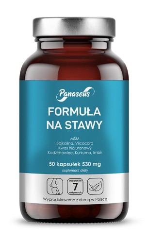 Formuła Na Stawy 50 kapsułek Panaseus