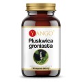 Pluskwica Groniasta 90 kapsułek Yango