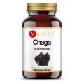 Chaga ekstrakt 10% polisacharydów 90 kapsułek YANGO