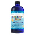 Childrens DHA 530 mg 473 ml Nordic Naturals