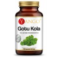 Gotu kola  ekstrakt 10% saponin triterpenowych 100 kapsułek Yango