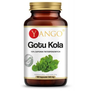 Gotu kola  ekstrakt 10% saponin triterpenowych 100 kapsułek Yango