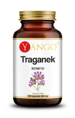Astragalus  Traganek 100 kapsułek Yango