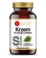 Krzem ze Skrzypu Polnego 90 kapsułek Yango