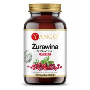 Żurawina  50% PAC ekstrakt 150:1 60 kapsułek Yango