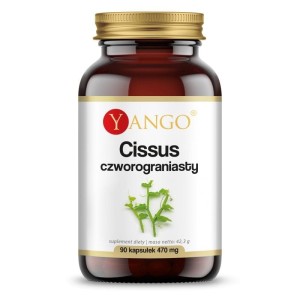Cissus Czworograniasty  ekstrakt 10:1 90 kapsułek Yango
