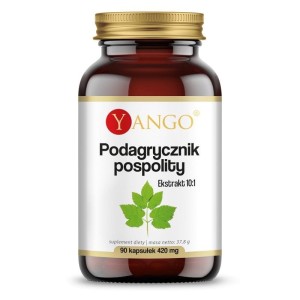 Podagrycznik pospolity 90 kapsułek Yango